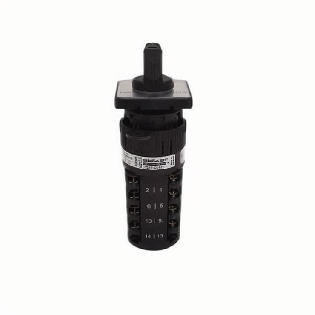 德国Salzer 凸轮转换开关 P220-61069-A01