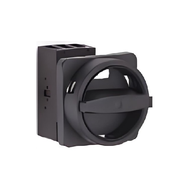 德國Salzer凸輪開關(guān)B263-41300-136N1